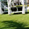 Carlo Luis - @carlo.luis16 - TikTok
