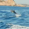 Carlo Daneluzzi - @carlo.daneluzzi - TikTok