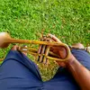 carlonlyons - @insabers - TikTok