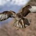 Carlo Macaluso - Facebook