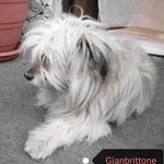 Carlo Macaluso - @carlo.macaluso.315 - Instagram