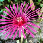 Carlo Marchetti - @carlo.marchetti - Instagram