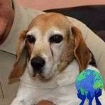 Carlo Maresca - Facebook