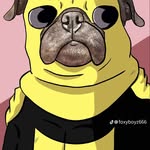 Carlo Nicolás - @carlo_.n - Instagram