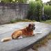 Carlos Alcaide - Facebook