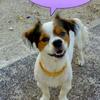 carlos alcaide - @carlos.alcaide26 - TikTok
