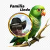 carlos antonio rivera solano - @carlosantoniorive22 - TikTok