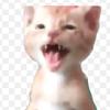 Carlos Apodaca - @not_messic10 - TikTok