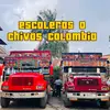 escaleras o chivas colombia - @carlosarbelaez69 - TikTok