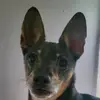 Carlos Avitia - @spanishcarl - TikTok