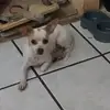 Carlos     Barradas @ - @carlos.gamez.barr - TikTok