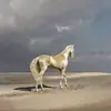 Carlos Barradas - @carlosbarradas583 - TikTok