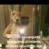 Carlos Basora - @carlos.basora - TikTok