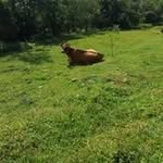 Carlos Basquez - @gnro12537az - Instagram