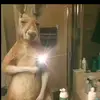 carlosbasquez38 - @carlosbasquez38 - TikTok
