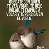 carlosbasquez593 - @charltbasquez593 - TikTok