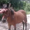 carlosbasquez947 - @carlosbasquez947 - TikTok