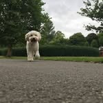 Baxter_carlos - @baxter_carlos1 - Instagram