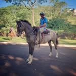 Carlos Becker - @carlosbecker202 - Instagram