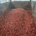 Carlos boada - @boada564 - Instagram