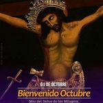 Carlos Bockos Albas - @carlos_bockos - Instagram