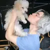 ༘⋆ℭ𝔞𝔪𝔢𝔯𝔬𝔫 𝔟𝔬𝔶𝔠𝔢🐾༘⋆ - @camoron_boyce_carlos - TikTok