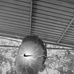 Carlos Bracho - Facebook