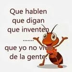 Carlos Carchi - @carlitosfroilan20014 - Instagram
