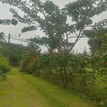 Carlos Carchi - @ccarchi - Instagram