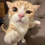 Carlos Caudillo - @caudilloo_charlie - Instagram
