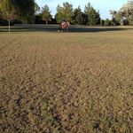 Carlos Clavero - @carlitosclavero - Instagram