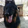 Carlos Colombo - @carlos.colombo04 - TikTok