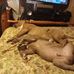 Carlos Cunningham - Facebook