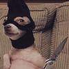 Carlos Egan345 - @carlosegan345 - TikTok