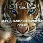 Carlos Egas - @egascarlosalberto - Instagram