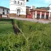 carlosescobal6 - @carlosescobal6 - TikTok