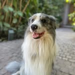 Carlos Eugenio - @carloseugeniobc - Instagram