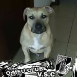 Carlos Eusebio - @carloseusebio9 - Instagram