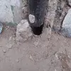 Carlos Farro - @carlos.farro2 - TikTok