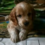 Carlos Farro Salvador - @farrosalvador - Instagram