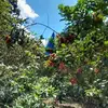 Carlos Ferrell - @carlos.ferrell - TikTok