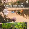 Carlos Fish Tanks - @carlosaquarium - TikTok