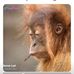 Carlos Graham - Facebook