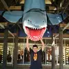 Carlos Limon - @carlos.limon3 - TikTok
