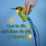 Agustina Ramírez - @carlos_lizardo - Instagram