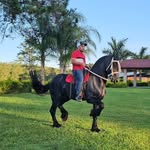 Carlos Lizardo - @crl_713 - Instagram