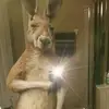 POV**** - @carlosmarron31 - TikTok
