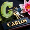 carlos🇭🇳matute🇺🇲 - @carlos..matute - TikTok