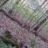 carlosmerida388 - @carlosmerida388 - TikTok