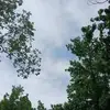 Carlos Moore - @carlos.moore31 - TikTok